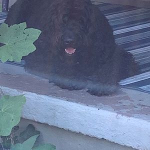 Meet your Posher, Cheryl